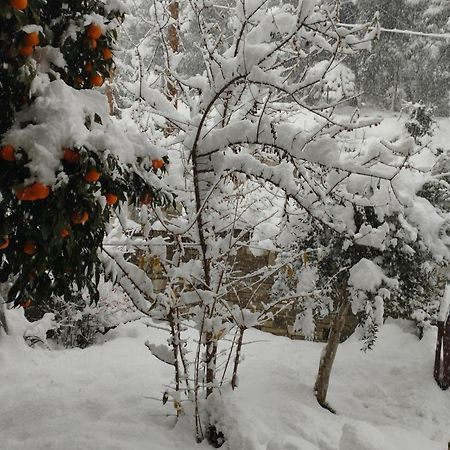 Villa Mountain Breeze Sanctuary Volos Esterno foto